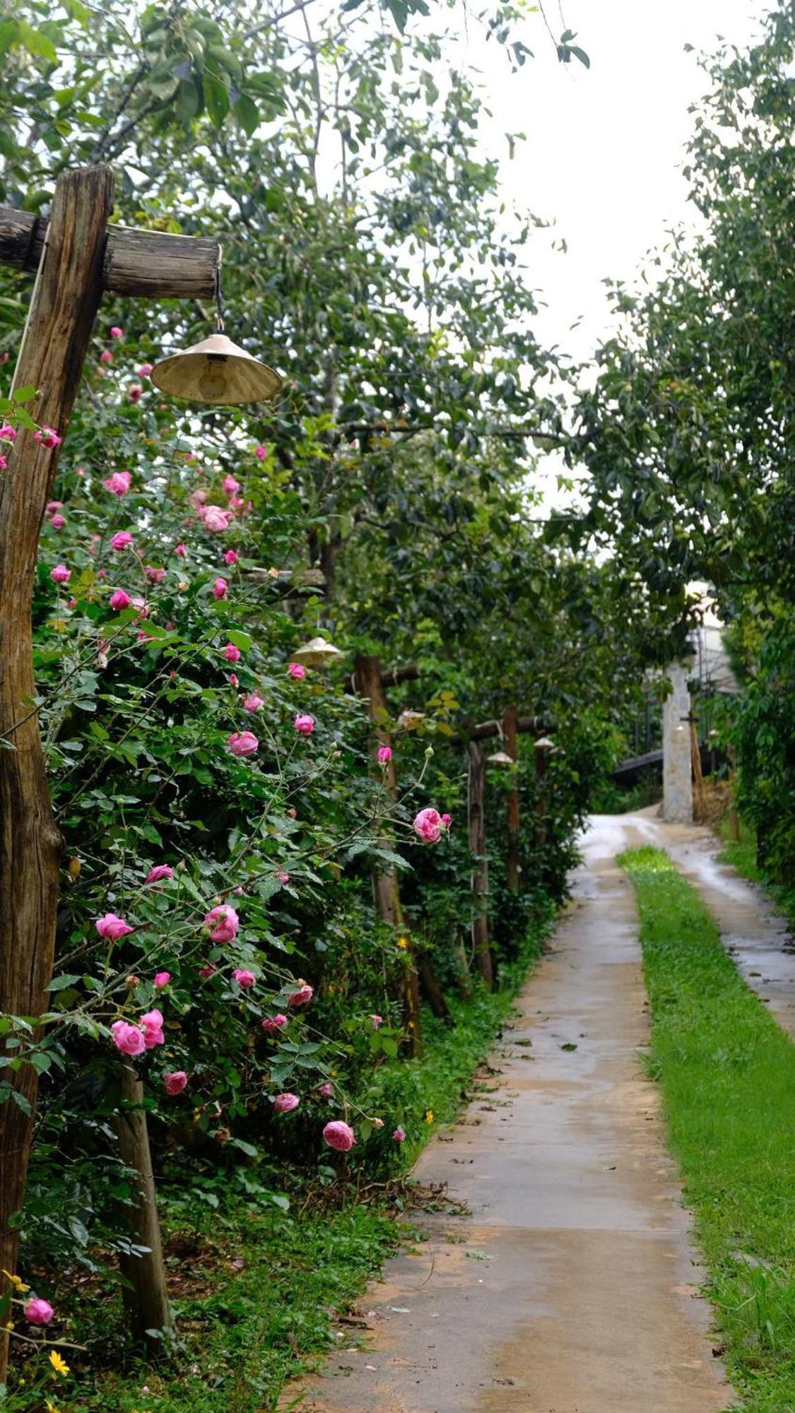 Moc Tra Farm Villa Xuan Truong Exterior photo